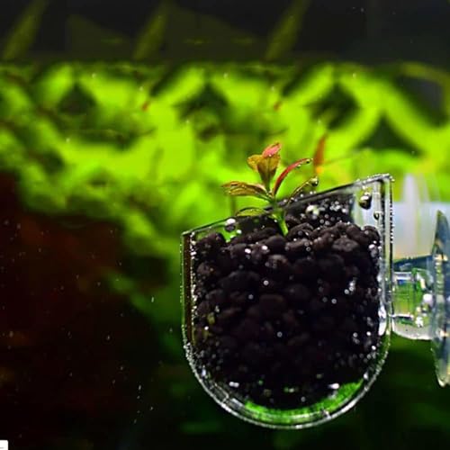 Oval Transparent Crystal Glass Aquatic Plant Pot, Aquarium Aquatic Planter Holder with Suction Cups for Fish Tank, Aquarium Aquascape Decoration Aquarium Décor Thematic Ornaments