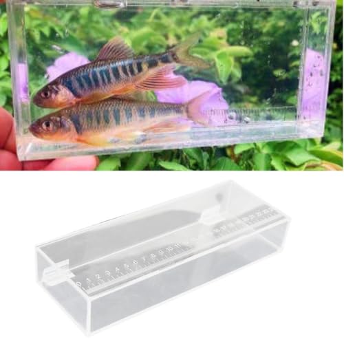 Fishing Photo Tank Fish Isolation Box Acrylic Aquarium Transparent Hatching Incubator Case, 25x4.4x9cm - color: 25x4.4x9cm