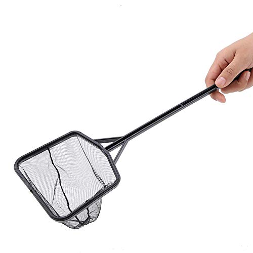 Lightweight Nylon Fish Fishing Net - Shrimp Net Fish Catching Cleaning Tool with Plastic Handle(L) - color: L