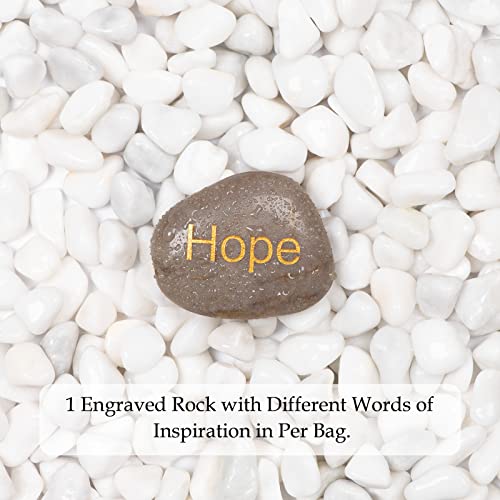 5lbs White Natural River Rocks, Polished Pebbles for Plants Garden, 0.3-0.8 inch Decorative White Stones, Ideal for Fish Tank, Vases, Crafting, Home Decor and Garden Landscaping Rocks,White - size: 5 Pounds, style: Snow White
