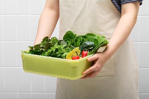 LocknLock Fresh-Block Plastic Food Storage Container | Produce Storage Containers for Fridge | Vegetable & Fruit Storage Containers for Fridge, Airtight Storage, Microwave & Dishwasher Safe, 1.5L - size: 1.5L