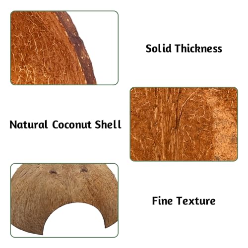 4 PCS Natural Coconut Reptile Hideouts Lizard Coco Hut Hermit Crab Hut Aquarium Fish Hide Cave Spider Snail Climber Toys - size: 4 PCS Smooth Surface