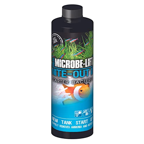 MICROBE-LIFT Nite-Out II Aquarium Bacteria for Start-up, Instantly Cycle Aquariums, Add Fish on Day 1, Rapid Ammonia and Nitrite Reducer for Freshwater & Saltwater Fish Tank, 8 Ounces (NITEH08) - size: 8 Ounces