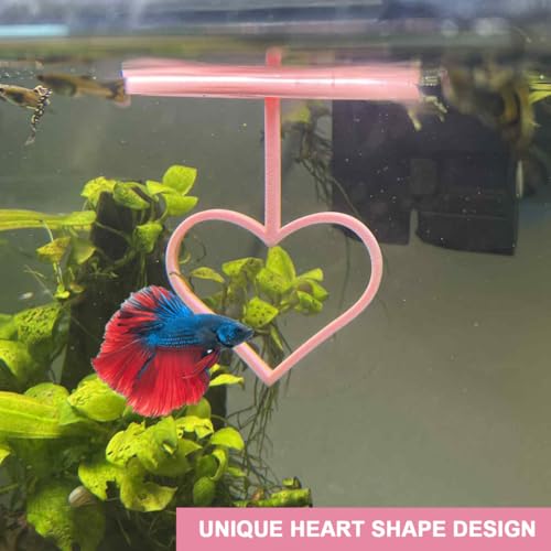 Floating Heart Betta Training Ring, Heart Active Betta Training Ring, Floating Feeder, Enrichment Toys for Aquarium Decor, Pink, 3.8in x 3.7in (Pink, Pack of 2) - color: Pink, size: Pack of 2