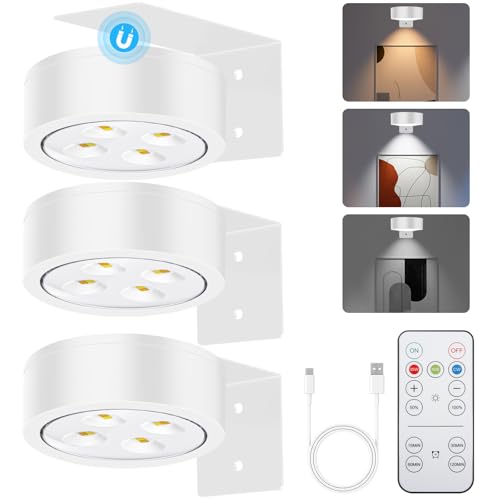 Picture Lights for Wall, 3 Lighting Modes Magnetic Art Display Light,Rechargeable Battery Operated Led Painting Light with Remote Control Dimmable & Timer,3Pack White - color: White, size: 3 Pack
