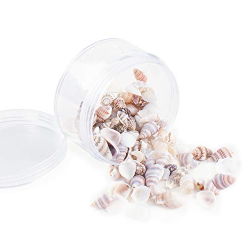 Super Z Outlet Tiny Miniature Fairy Garden Beach Critter Seashells Marine Life Collection for Vase Filler (2 Tbsp Pack)