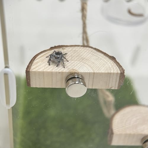 5pcs Handmade Spider Enclosure, Shelter Made of Natural Materials, Magnetic Hidden Jumping Spider Habitat