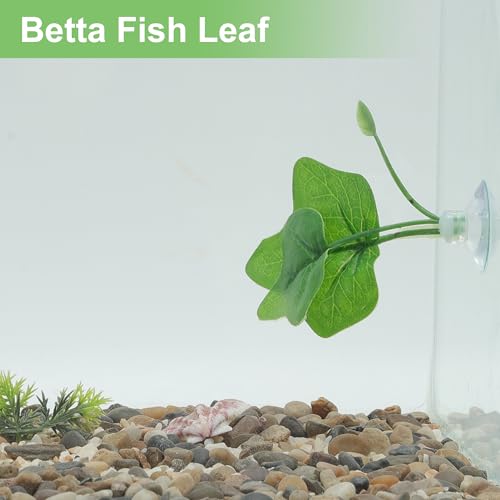 Betta Fish Leaf, Natural Habitat Simulation for Betta Spawnings Grounds, Betta Spawnings Leaves, Resting Bed, Large Maple Small Leaves, Green
