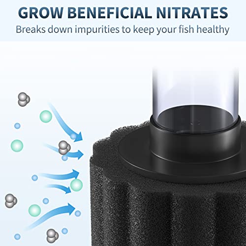Pawfly Aquarium Air Pump with Nano Bio Sponge Filter Kit Air Control Valve Airline Tubing and Check Valve Accessories - style: 3-10 Gal