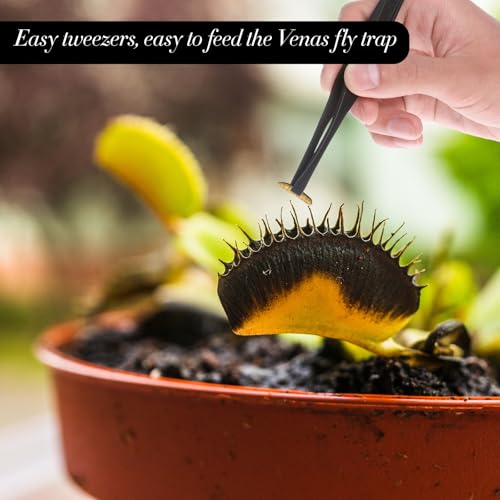 TIESOME 8 PCS Venus Fly Trap Feeding Tweezers, 8 Styles Black Straight and Curved Tweezers Set Carnivorous Plant Feeding Tongs for Flytraps Pitcher Plants Butterwort Reptile Feeding