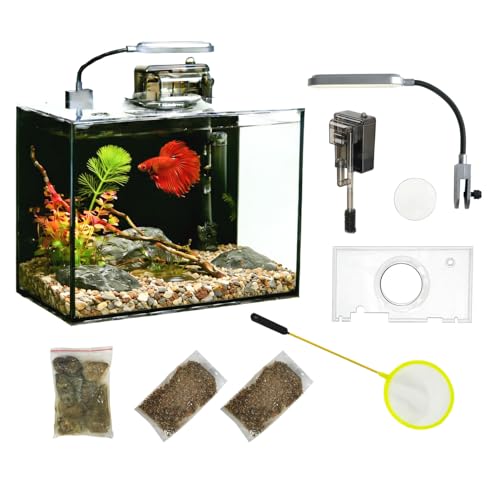 2 Gallon Glass Fish Tank with Filter LED Light Complete Aquarium Starter Kit for Betta, Shrimp, Nano Fish Rimless Small Aquarium with Everything Included - size: 2 Gallon