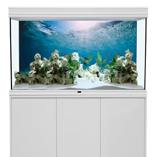 AWERT 36x24 inches Vinyl Undersea Ocean Floor Aquarium Background Tropical Tank Background - size: 36x24in/90x60cm