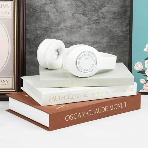 Decorative Books for Home Decor,Set of 3 Aesthetic Faux Books with Storage Box,Linen Fake Books for Coffee Table,Bookshelf & Mantle Decor,Modern Decorative Book Set(brown) - color: brown
