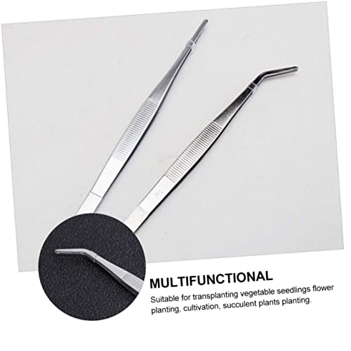 6pcs Succulent Bonsai Cactus Tweezer Curved Reptile Accessories Grass Garden Reptile Feeding Aquascaping Tools Pliers Tool Flowerpot Stainless Steel Clip