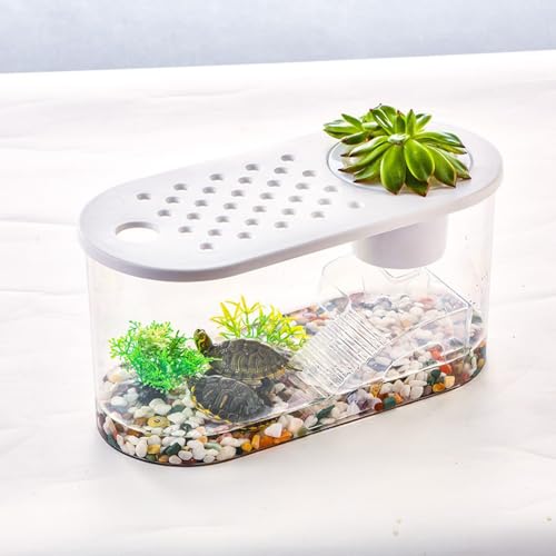 Small Turtle Tank with Basking Platform, Decor Stones and Water Grass, Aquarium Habitat with Plant Holder - color: White