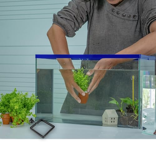 SunGrow Fish Food Feeding Ring, Stop Water Turbulence from Washing Food & Floating Plants into Filtration System, Suitable for Flakes & Floating Fish Pellets (3 Pieces) - size: 3 Pieces