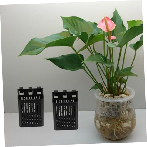 ibasenice Aquarium Plant Anchor Wall Mount Fish Tank Hydroponic Baskets for Freshwater Live Aquatic Plant Cup - color: Black