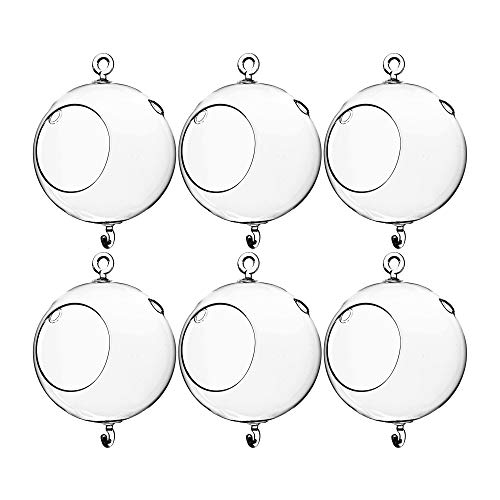 WGV Hanging Terrarium Globe, Width 5", Height 7", Double Hook, DIY Air Succulent Planter, Clear Glass Vase Orb, Candle Holder for Windowsill Outdoor Garden Decor, 6 Pieces Bulk - size: 5" Double Hook