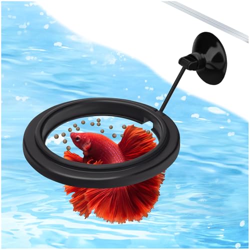 Aquarium Feeding Ring Small Round Floating Fish Food Feeder Food Holder with Suction Cup for Betta Goldfish Guppy Turtle Tank Accessries (1Pack) - size: 1Pack
