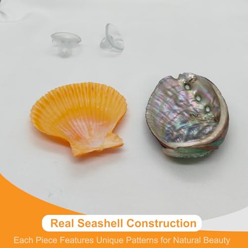 2Pcs Betta Fish Resting Spot Bed Shell House Dual Habitat Aquarium Hideout Toys for Beta Fish Floating Beds and Tank Hides Seashell Hide Accessories with Hammock Resting Spots and Hiding