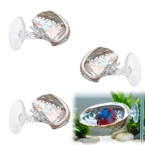3 Pcs Betta Hammock, Rainbow Iridescent Floating Fish Cave, 3D Printed PLA Aquarium Resting Spot with Feeder Ring, Betta Hideout Shrimp Cave for Nano Tank