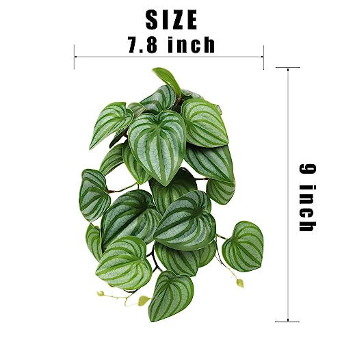 Reptile Plants for Terrarium, Amphibian Habitat Decor Artificial Hanging Plants with Suction Cup - Fake Calathea Orbifolia