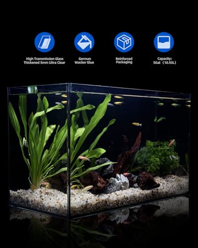 5 Gallon Clear Glass Fish Tank, Easy to Maintain Small Aquariumfor Betta, Goldfish, Snail,Shrimp and Aquatic Planting - color: Black, size: 5 Gallon