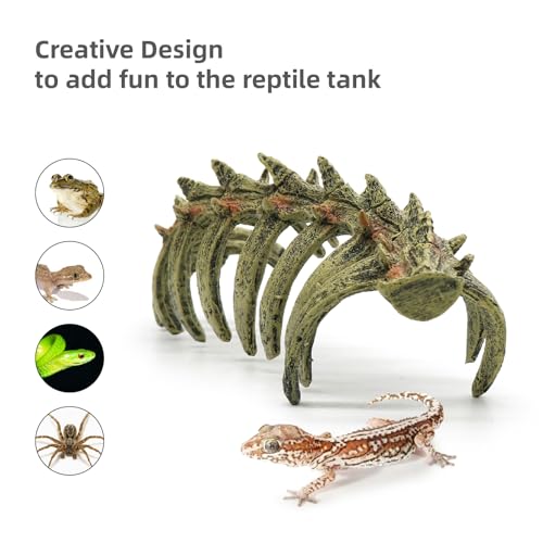 Aquarium Skull Animal Skeletons, Reptile Tank Accessories, Fish Tank Decorations for Amphibians, Betta Fish, Shrimp, Hermit Crab, Leopard Gecko