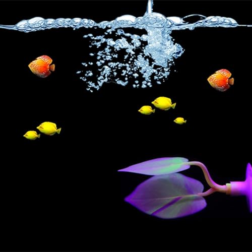 2 Pack Betta Fish Leaf Pad, Silicones Bettas Corals Hammock with Suction Cup Improves Betta's Health by Simulating The Natural Habitat Organic, Comfortable Rest Area for Aquarium Ornaments