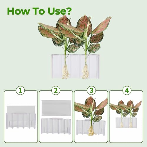 2 PCS Aquarium Plant Holder Top Hanging Fish Tank Plant Pot Aquarium Planter Cups for Water Feature Decoration - color: Rimmed - Clear