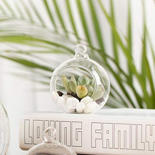 WGV Hanging Terrarium Globe, Width 2.25", Height 2.75", DIY Air Succulent Planter, Clear Glass Vase Orb with Flat Bottom, Candle Holder for Windowsill Outdoor Garden Decor, 6 Pieces Bulk - size: 2" Flat Bottom