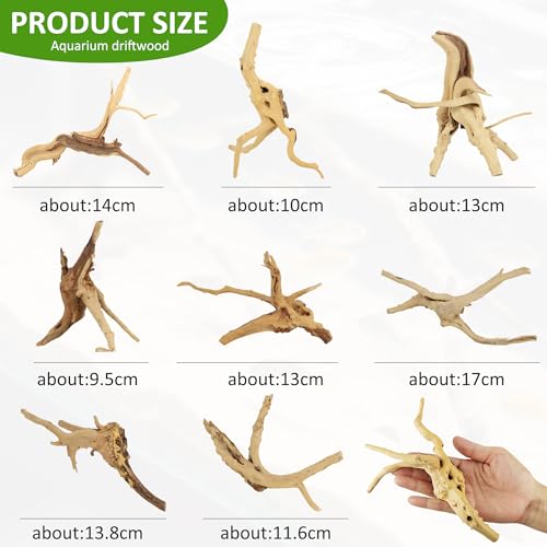8 Pcs Natural Spider Woods, 4-8 Inch Small Driftwood Branches, Aquarium Driftwood for Reptile Fish Tank Decorations