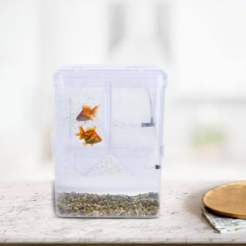 Kisangel Acrylic Dual-Layer Fish Hatching Box 2pcs Fish Breeding Incubator for Guppies Fry Hatching Container Suitable for Aquariums