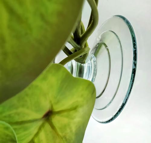 Reptile Plants for Terrarium Decor, Amphibian Habitat Decor, Snake Tank Accessories, Artificial Hanging Plants with Suction Cup-2 Packs (Arrowhead) - color: Arrowhead
