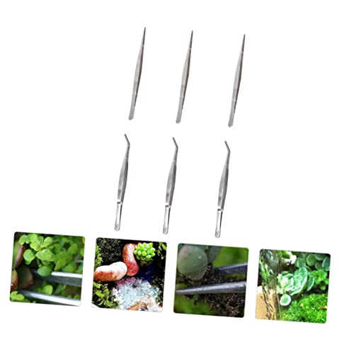 6pcs Succulent Bonsai Cactus Tweezer Curved Reptile Accessories Grass Garden Reptile Feeding Aquascaping Tools Pliers Tool Flowerpot Stainless Steel Clip