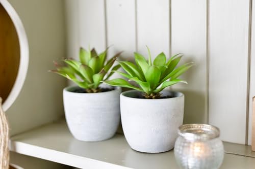 Kurrajong Farmhouse Artificial Plants Indoor | Set of 2 Fake Plants for Desk Decor | Artificial Succulents in pots | Fake Succulents| Faux Plants Indoor | Faux Agave for Shelf Decor