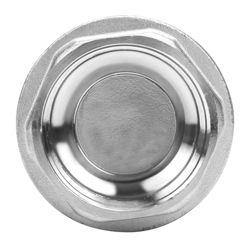 1-1/4 Inch Vertical Check Valve SUS304 Spring Loaded Check Valve in-line Low Cracking Pressure CF8M WOG 1000 - size: 1.25 Inch, style: Spring