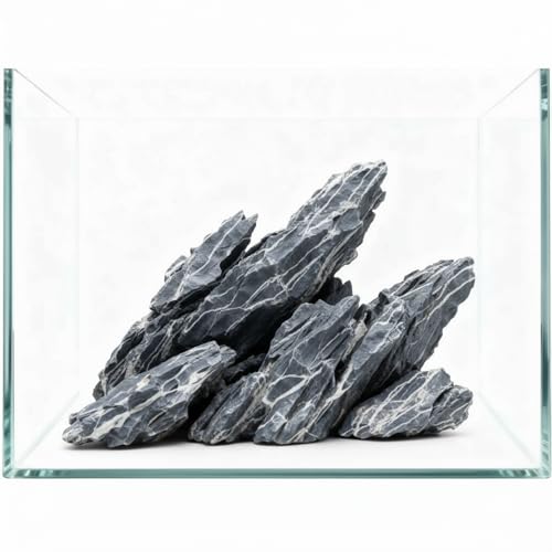 5LBS Aquarium Rocks Seiryu Stone Natural Hardscape Stone for DIY Aquariums, Fish Tanks, Bonsai, Paludarium Amphibian Enclosures (5Lb (3-8 inch), Seiryu Stone) - size: 5Lb (3-8 inch)
