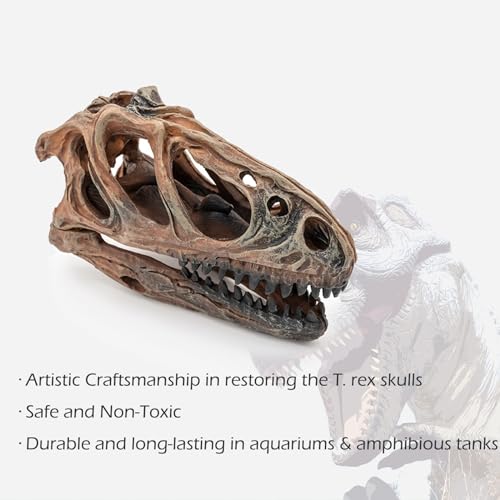 Fish Hideout Aquarium Décor Decorations Dinosaur Skull Fish Tank Decor Cave Dinosaur Skull Betta Animal Halloween Large Tarantula Reptile Bones Snake for Terrarium Ornament - color: Tyrannosaurus