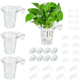 4 Pack Aquarium Plant Holder for Live Plants, Fish Tank Plant Holder with 24 Adjustable Hooks (3 Sizes) & 8 Aquarium Suction Cups, Plant Holder for Fish Tank for Pothos, Aquascape Decorations