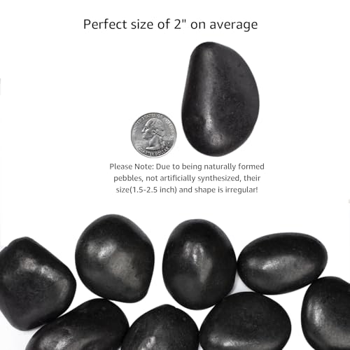 10 lbs Black River Rocks - Large Polished Black Pebbles for Plants & Garden Decorative Stones，2-3" Polished Pebbles for Landscaping, Fish Tanks, Flower Pots, Water Fountains - color: Black, size: Weight: 10 LB