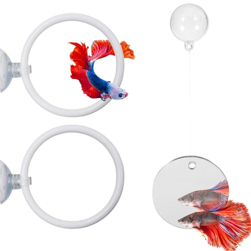 Beta Fish Aquariums Accessories, 1 Fish Mirror with Floating Ball & 2 Exercise Training Ring Toys, Fish Feeding Ring, Betta Fish Toys Set for Tank, Enrichment Toys for Fish - color: white ring