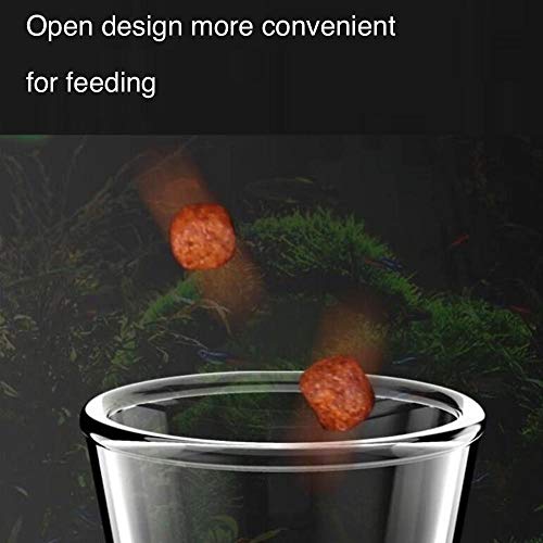 Shrimp Feeding Tube and Dish,Clear Crystal Glass Shrimp Feeder Tube Tray for Fish Tank Aquarium Shrimp - size: 12" + 1 Tray