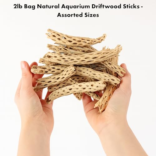 Koyal Wholesale Natural Cholla Wood Aquarium Branches, Airplants Decor, Reptile Perch, Untreated Cholla Wood Piece, Aquarium Driftwood Leopard Gecko Tank & Hermit Crab Accessories (2lb Bag) - size: 2lb Bag