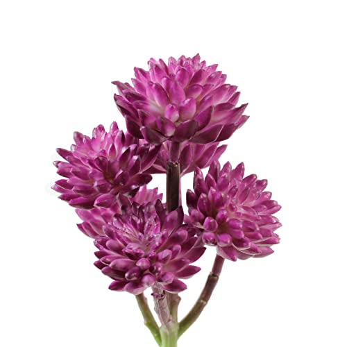 AQUANEAT Terrarium Plant, Fake Reptile Plant for Amphibian Habitat, 6.5 inch Tall Purple