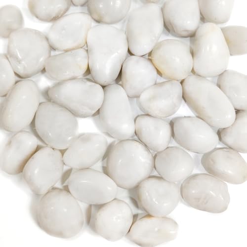 HappyFiller Natural Decorative White Pebbles Polished Rocks Stones for Aquarium Gravel,Fish Turtle Tank,Outdoor Indoor Succulents Plants Top Dressing,Graden Landscaping,2 LB - color: White