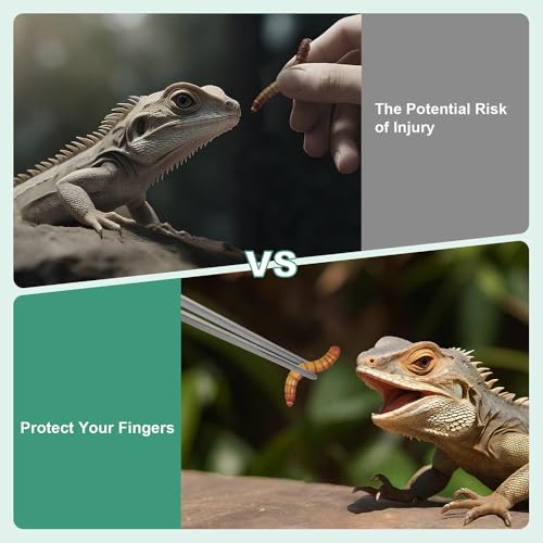Syn-zer 2PCS Stainless Steel Reptile Feeding Tongs, 10.6 inch Straight and Curved Tweezers for Aquarium, Terrarium & Crafts Bearded Dragon Snake Tank Accessories, Planted Tank Tools Feeder for Lizards