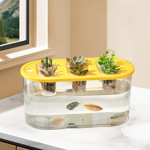 Hydroponic, Hydroponic System, Planting Container, 6 Holes, Indoor Tabletop Mini Aquarium for Plants and Fish, Yellow - color: Yellow