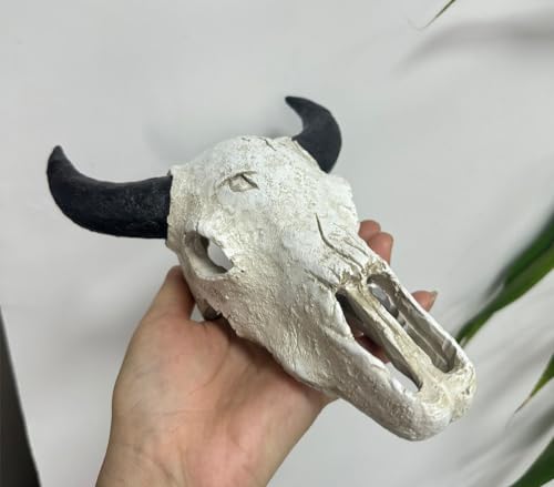 8x6 inch Aquarium Decoration Fish Tank Skull Animal Skull Statues Décor Ornaments Fish Turtle Hidden,Amphibians Bonsai Beautification Cave Landscape Pet Reptile House (White - Black Horn Cattle Skull) - color: White - Black Horn Cattle Skull