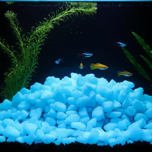 Shiny Stone Glow in The Dark Aquarium Gravel Sand, Sky Blue, 15-22mm | Neon, 305g/0.67lbs, Decorative Rocks for Fish Tank, Fairy Garden, Home Decor - color: Sky Blue, size: 15-22mm